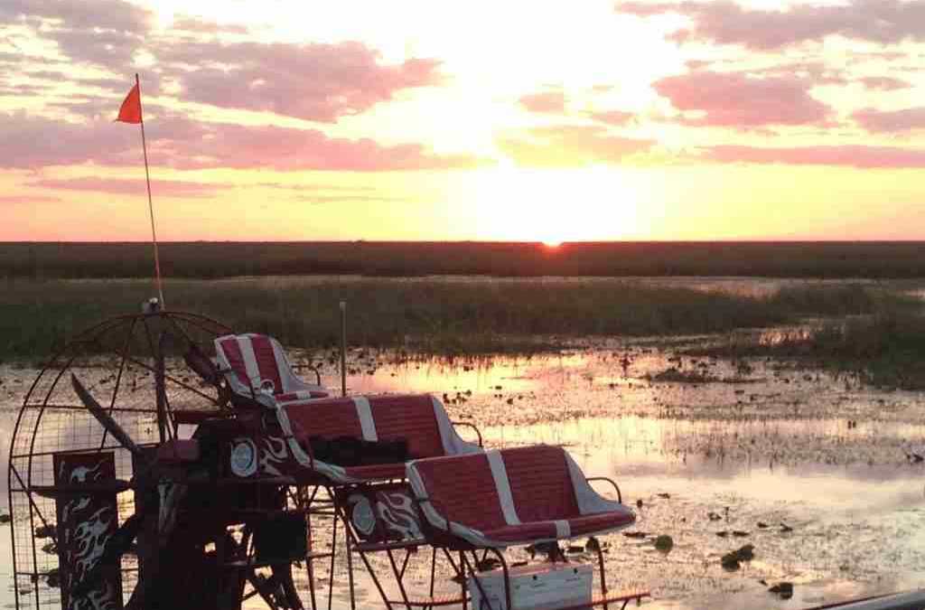 Top 5 Everglades Airboat Tours Fun Facts